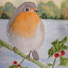 Christmas Card - Robin