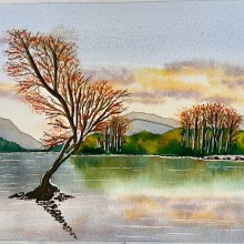 The Lonely tree of Llyn Par-darn