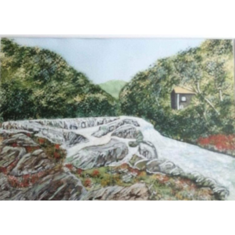 Cenarth Falls