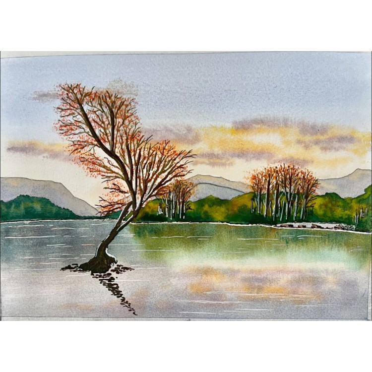 The Lonely tree of Llyn Pardarn