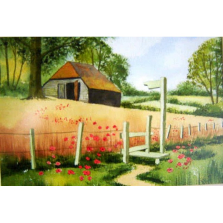 Poppy Field