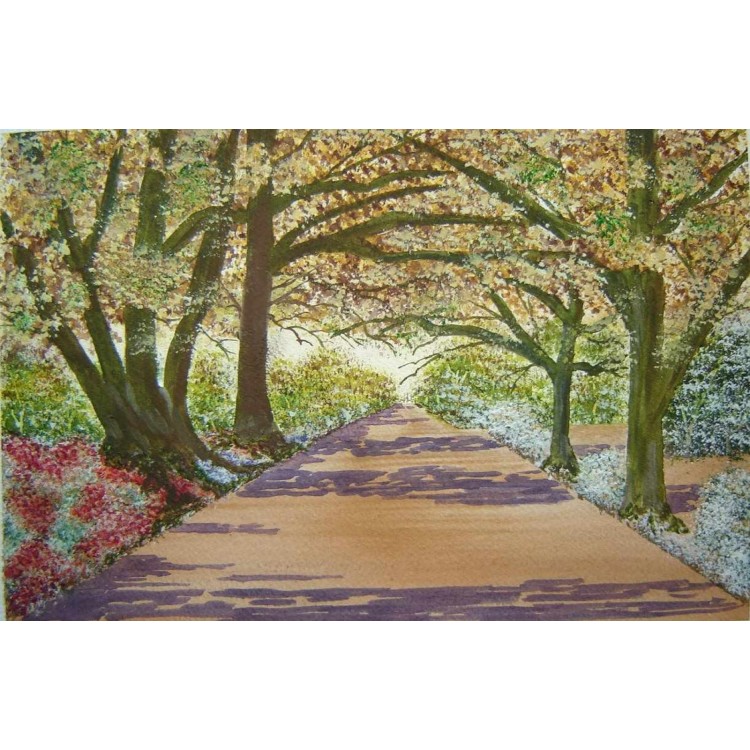 Woodland Walk